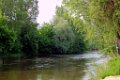2012 05 (137) St Leon sur Vezere